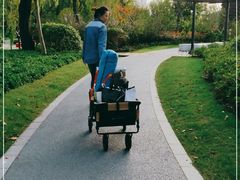 -昆山城市生态森林公园