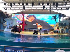 -三亚海昌梦幻海洋不夜城