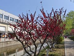 -元大都城垣遗址公园