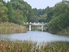 -昆山城市生态森林公园