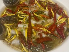-新太二·鲜料川菜(群光广场店)