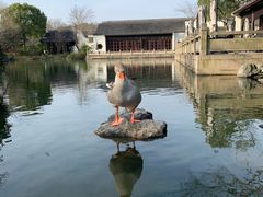 门面-杭州西子湖四季酒店·金沙厅