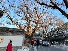 -北京国子监胡同