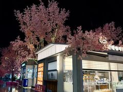 -首开·龙湖成都西宸天街