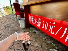 -北纬44度·金珠花海休闲农业旅游景区