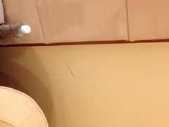 心悦大酒店-大连心悦大酒店