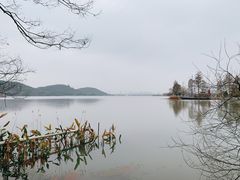 -东湖落雁景区