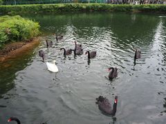 -长白岛森林公园