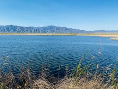 -野鸭湖国家湿地公园