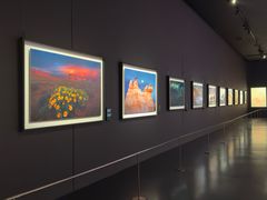 -罗红摄影艺术馆