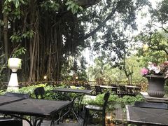 景观位-太平山餐厅(山顶道店)