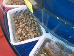-王四营海鲜市场