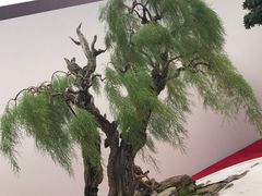 -重庆市江北嘴中央商务区中央公园