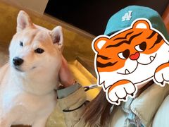 -E+有冰工厂·昆仑寒宫2(五角场店)