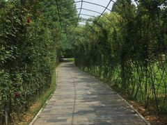 -东湖落雁景区