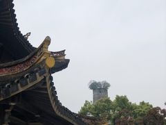 -江心屿景区