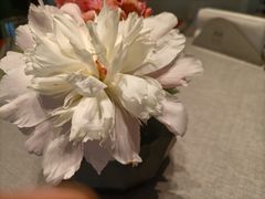 -南堂馆·新川菜(春熙路店)