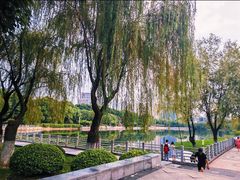 -后襄河公园