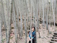 -祁门牯牛降观音堂风景区