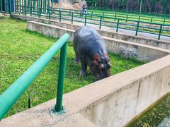 -哈尔滨北方森林动物园