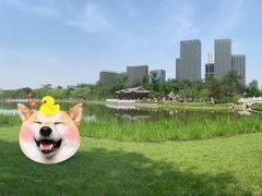 -西海子公园