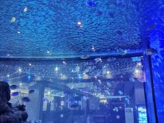 -胡桃里乐队酒馆(鎏嘉码头店)