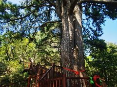 -终南山南五台景区