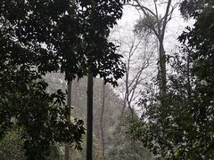 -都江堰普照寺