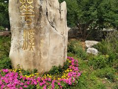 -北京西山国家森林公园