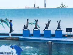 -秦皇岛新澳海底世界