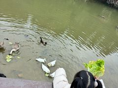 -厦门悦华酒店
