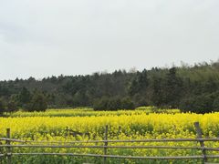 -南京市无想山景区