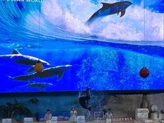 -泉城欧乐堡海洋极地世界