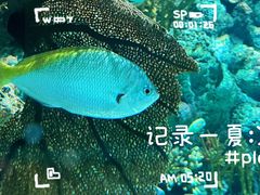 -上海海洋水族馆