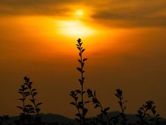 -火炉山森林公园