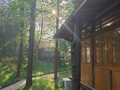 -日照海滨国家森林公园
