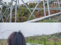 -中国西峡恐龙遗迹园