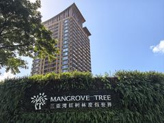 -三亚湾红树林度假酒店美食街