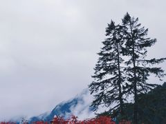 -古尔沟华美达温泉度假酒店