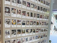 -御宝贝24h宠物医院·转诊中心·CT核磁血透中心(厦门总院)