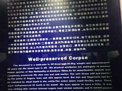-荆州博物馆