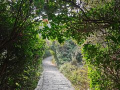 -水濂山森林公园