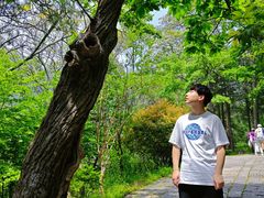 -崂山巨峰游览区