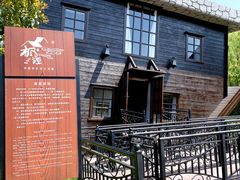 -金山农民画村-枫泾波兰倒置屋