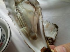 -宾朋海鲜特色美食餐厅·纯手工鲅鱼水饺(兴海路店)