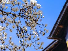 -杭州上天竺法喜讲寺