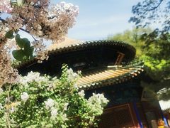 -潭柘寺景区