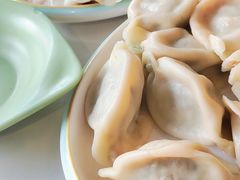 茴香饺子-岳姥姥饺子(泺文路店)