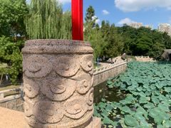 -水绘园