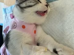 -美迦爱-牙专科·兔科·骨科诊疗中心(北苑店)